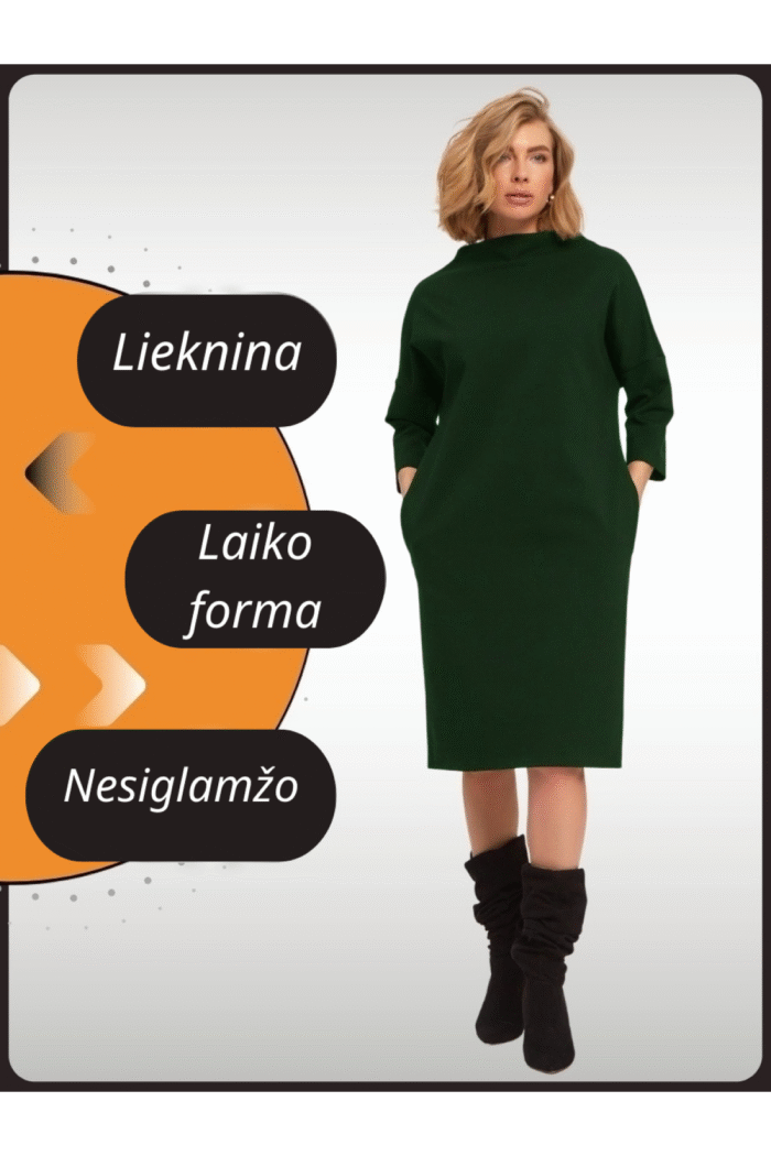 E05 SUKNELĖ SU PAAUKŠTINTU KAKLU - Image 3