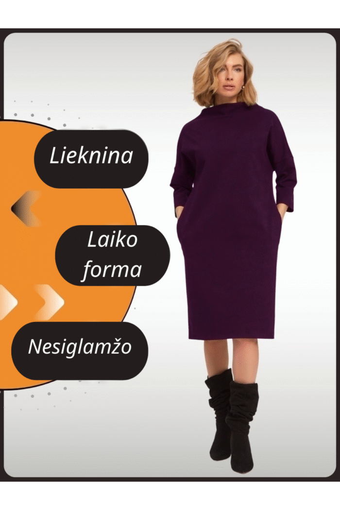 E05 SUKNELĖ SU PAAUKŠTINTU KAKLU - Image 5
